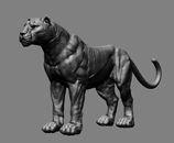 Big cats in game